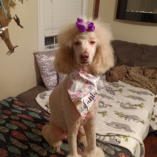 Pet Supply Store «Petco Animal Supplies», reviews and photos, 26 Coliseum Crossing, Hampton, VA 23666, USA