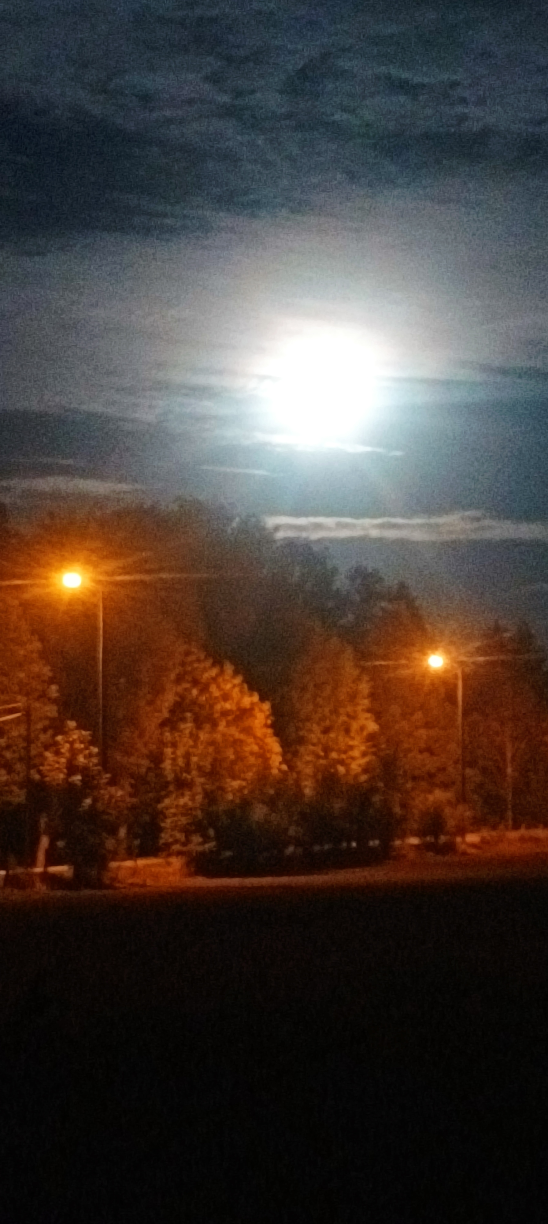 Photo n° 1 de l'avis de Didier.t fait le 12/10/2023 à 09:37