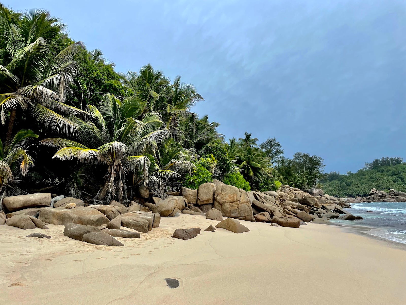 Anse Bazarca Beach'in fotoğrafı doğal alan içinde bulunmaktadır