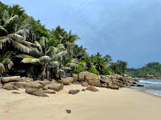 Anse Bazarca Beach