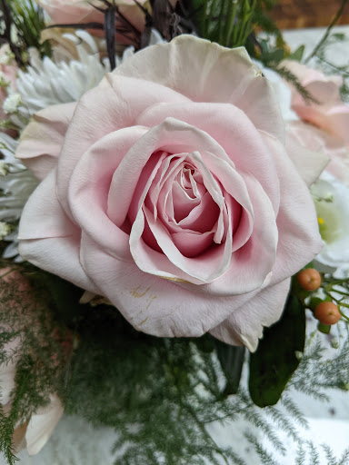 Florist «Sieck-Wright Floral Products», reviews and photos, 231 Monmouth St, Hightstown, NJ 08520, USA