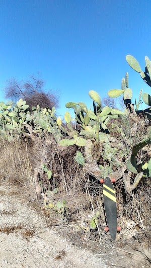 San Luis Rey River Trail - Easternmost Access Point - photo 19
