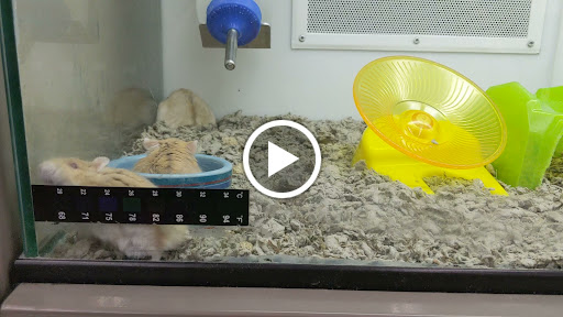 Pet Supply Store «Petco Animal Supplies», reviews and photos, 600 NE Vivion Rd, Kansas City, MO 64118, USA