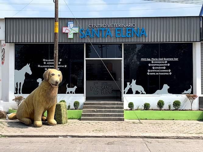 Centro Veterinario Santa Elena