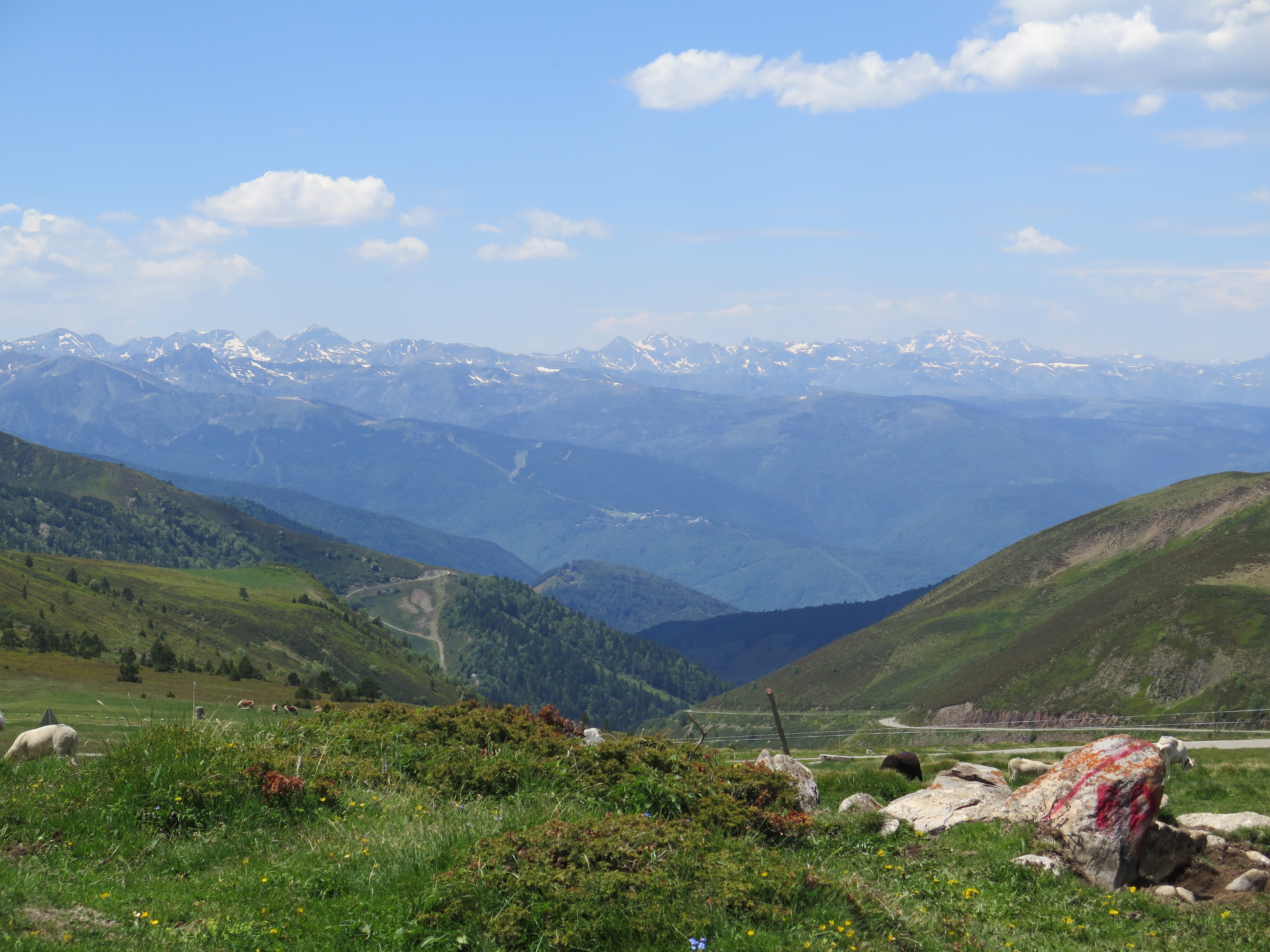 Photo n° 1 de l'avis de Didier.h fait le 27/06/2019 à 16:16