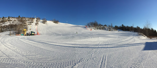 Lively Ski Hill