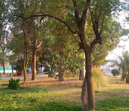 Trinidad Garden photo