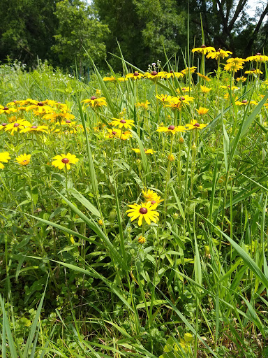 Nature Preserve «Southwood Nature Preserve», reviews and photos, 2651 Holloway Ave E, North St Paul, MN 55109, USA