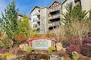Sofi at Forest Heights image