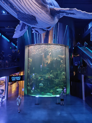 Aquarium «Wonders Of Wildlife National Museum & Aquarium», reviews and photos, 500 W Sunshine St, Springfield, MO 65807, USA