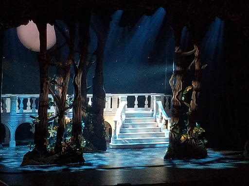 Performing Arts Theater «DeVos Performance Hall», reviews and photos, 303 Monroe Ave NW, Grand Rapids, MI 49503, USA