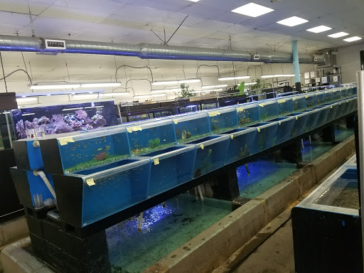 Pet Supply Store «Global Aquatics & Pet Supplies», reviews and photos, 1420 S Carlos Ave, Ontario, CA 91761, USA