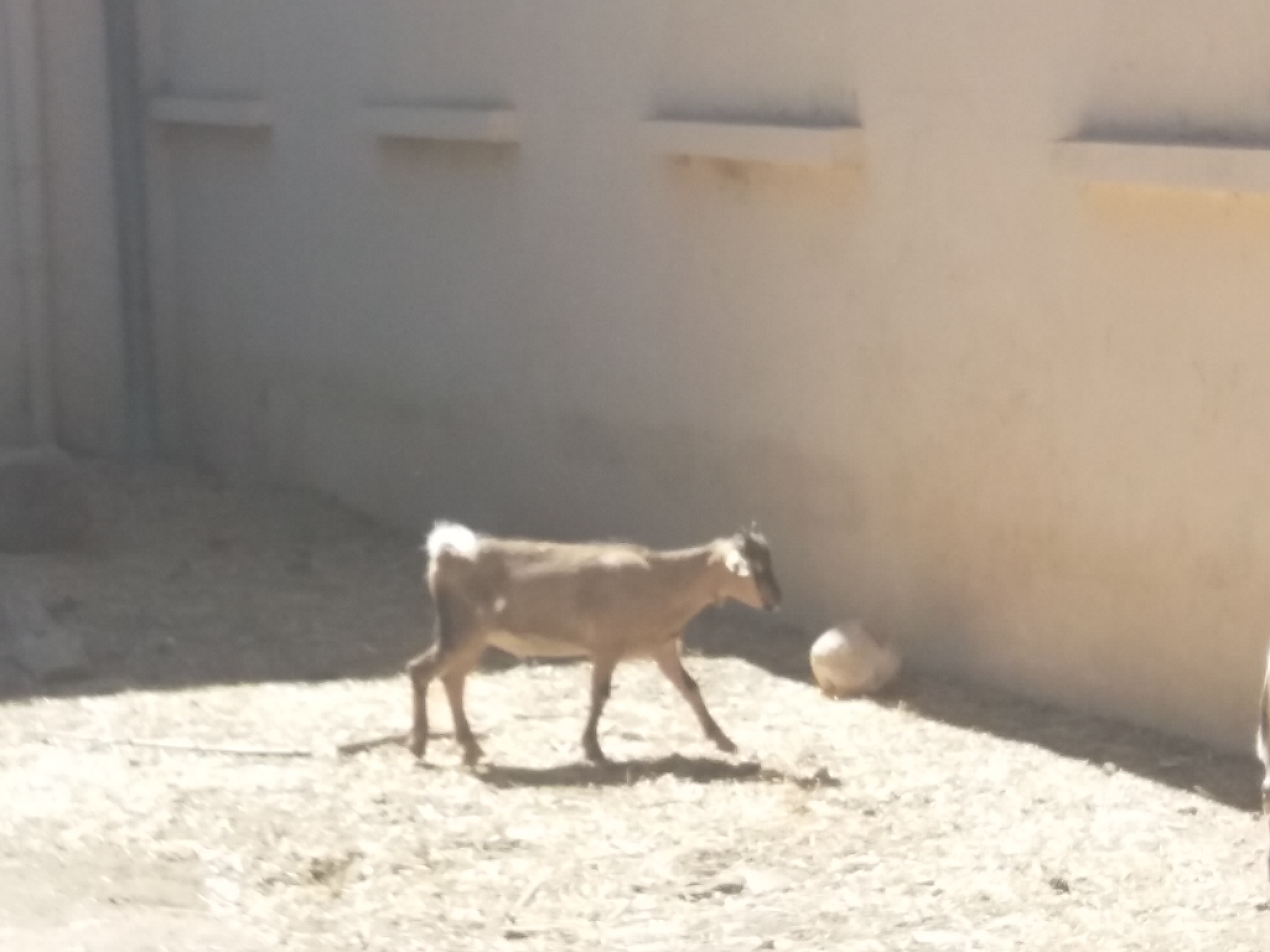 Photo n° 24 de l'avis de Damien.i fait le 21/08/2017 à 19:35