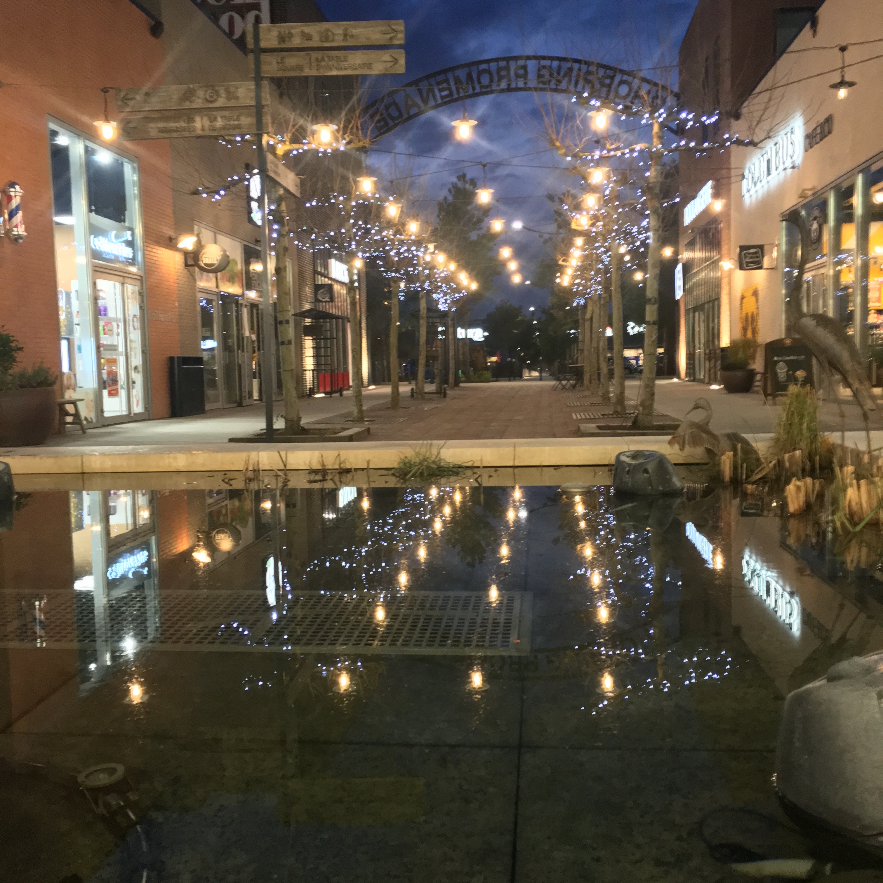 Photo n° 5 de l'avis de SUZANNE.C fait le 18/02/2019 à 21:06
