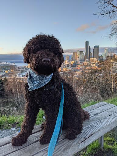 Park «Dr. Jose Rizal Park», reviews and photos, 1007 12th Ave S, Seattle, WA 98144, USA