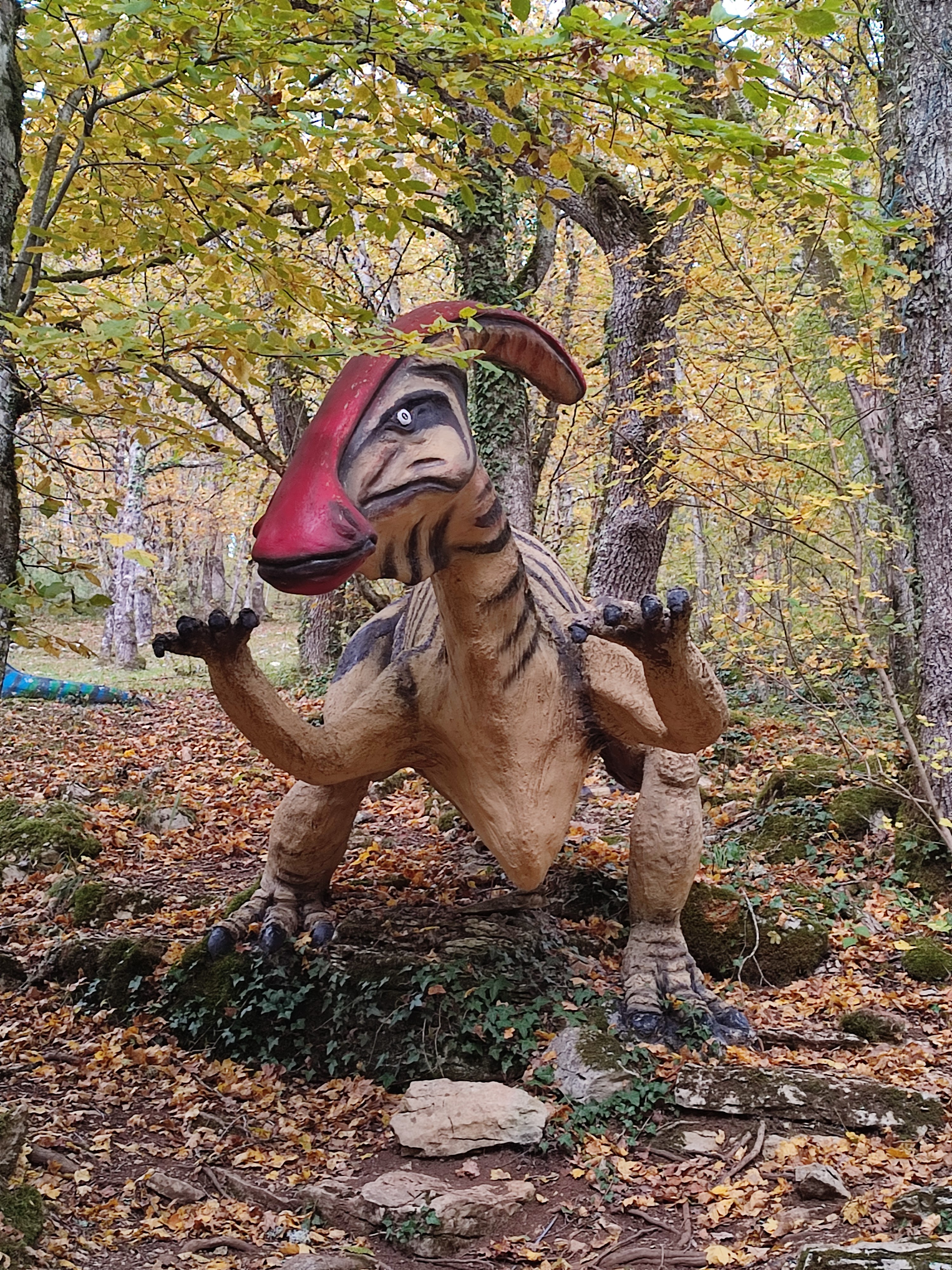 Photo n° 8 de l'avis de Anna.e fait le 05/11/2021 à 20:07