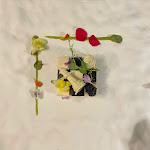 Photo n°2 de l'avis de Federico. fait le 18/09/2022 à 19:35 sur le  Nero Restaurant à Barletta