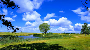 Photo n°12 de Golf du Cambrésis à Niergnies ()