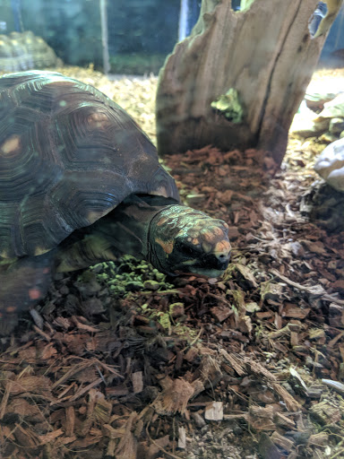 Pet Store «Lebanon Pet & Aquarium Center», reviews and photos, 196 S Main St, West Lebanon, NH 03784, USA