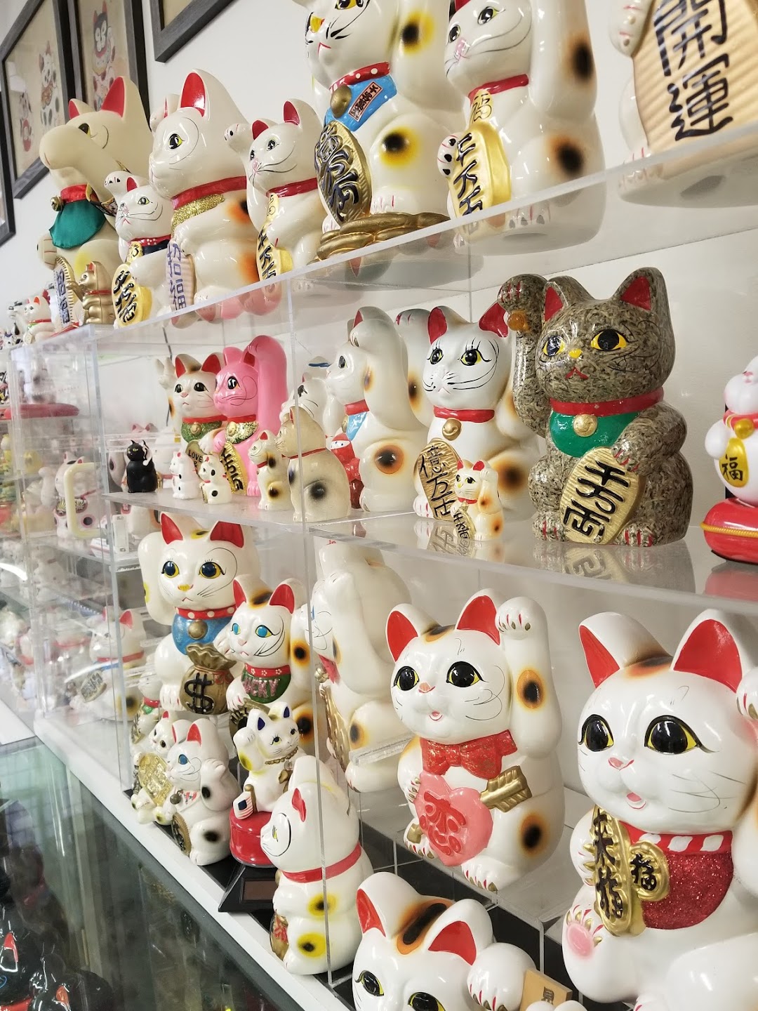 Lucky Cat Museum