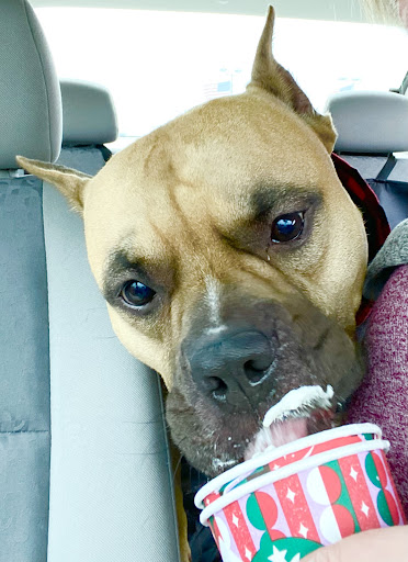 Coffee Shop «Starbucks», reviews and photos, 9052 Telegraph Rd, Redford Charter Twp, MI 48239, USA