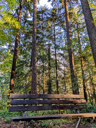 Park «Tukwila Park», reviews and photos, 15460 65th Ave S, Tukwila, WA 98188, USA