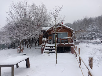 Etkin Otomotiv Kaporta Boya