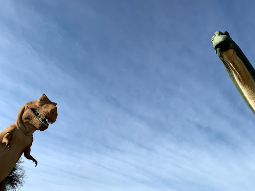 Gift Shop «Dinosaur Valley State Park Store», reviews and photos, 1629 Park Rd 59, Glen Rose, TX 76043, USA