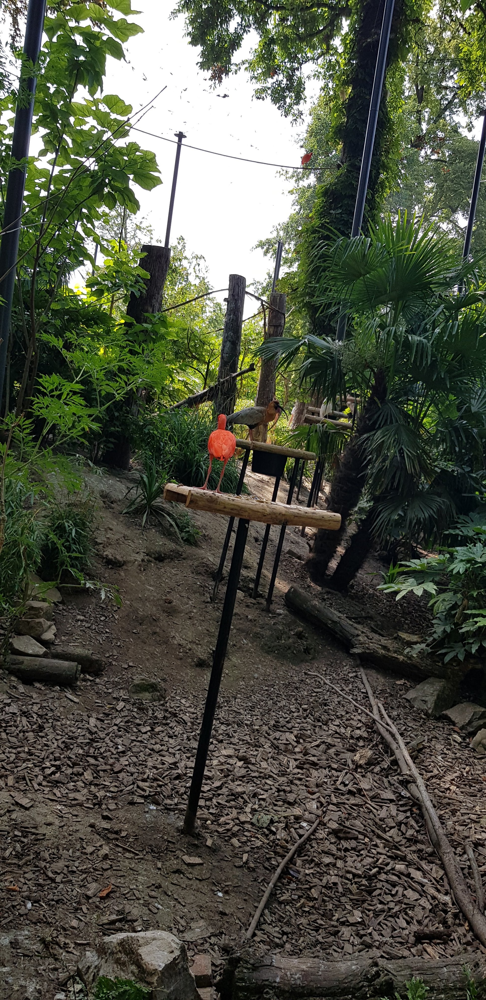 Photo n° 34 de l'avis de Nuk3d.t fait le 13/10/2019 à 18:58