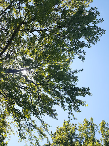 Tourist Attraction «Wheaton Miniature Train», reviews and photos, 2002 Shorefield Rd, Wheaton, MD 20902, USA
