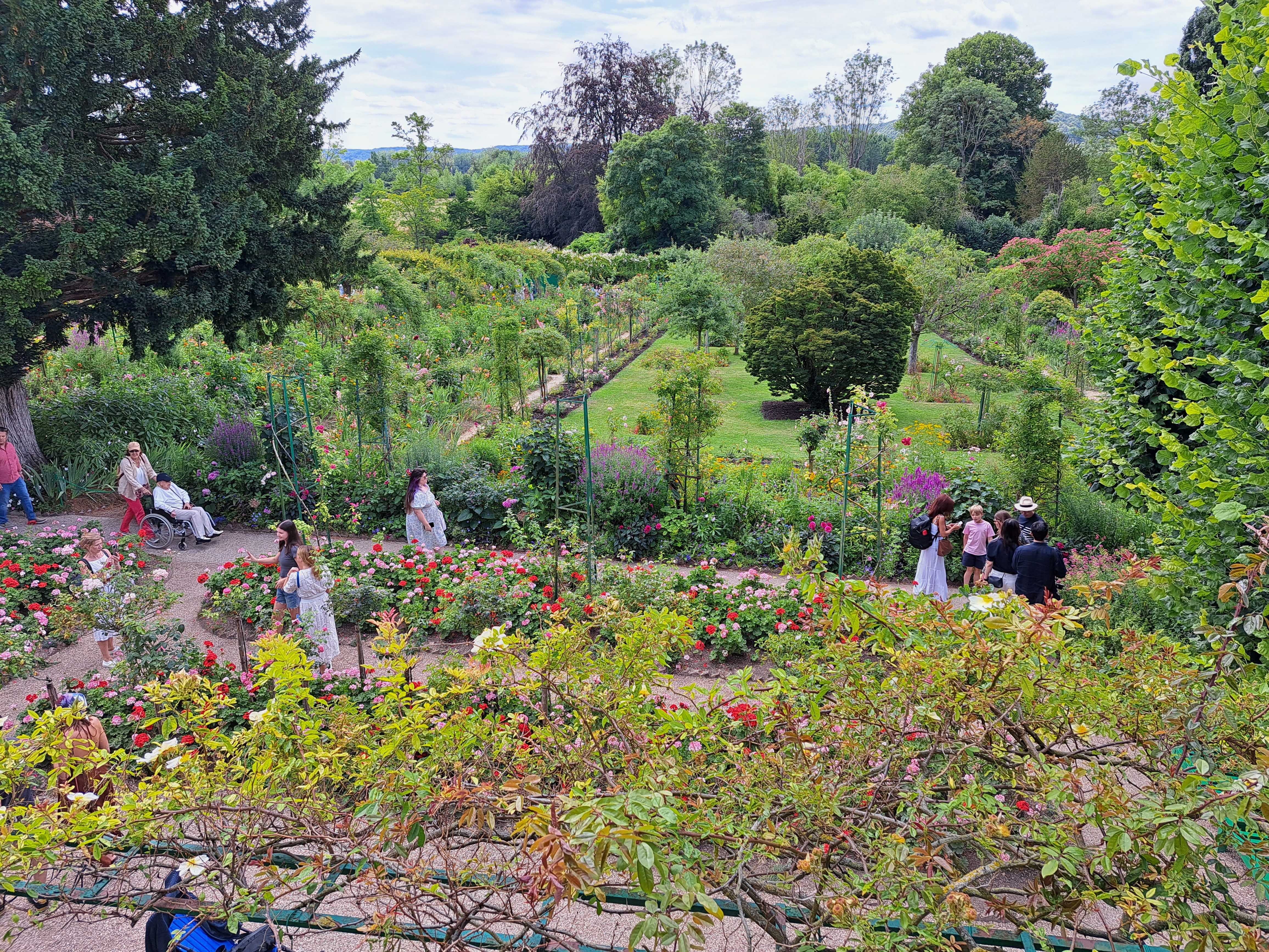 Photo n° 1 de l'avis de Fleur.a fait le 22/07/2023 à 15:46
