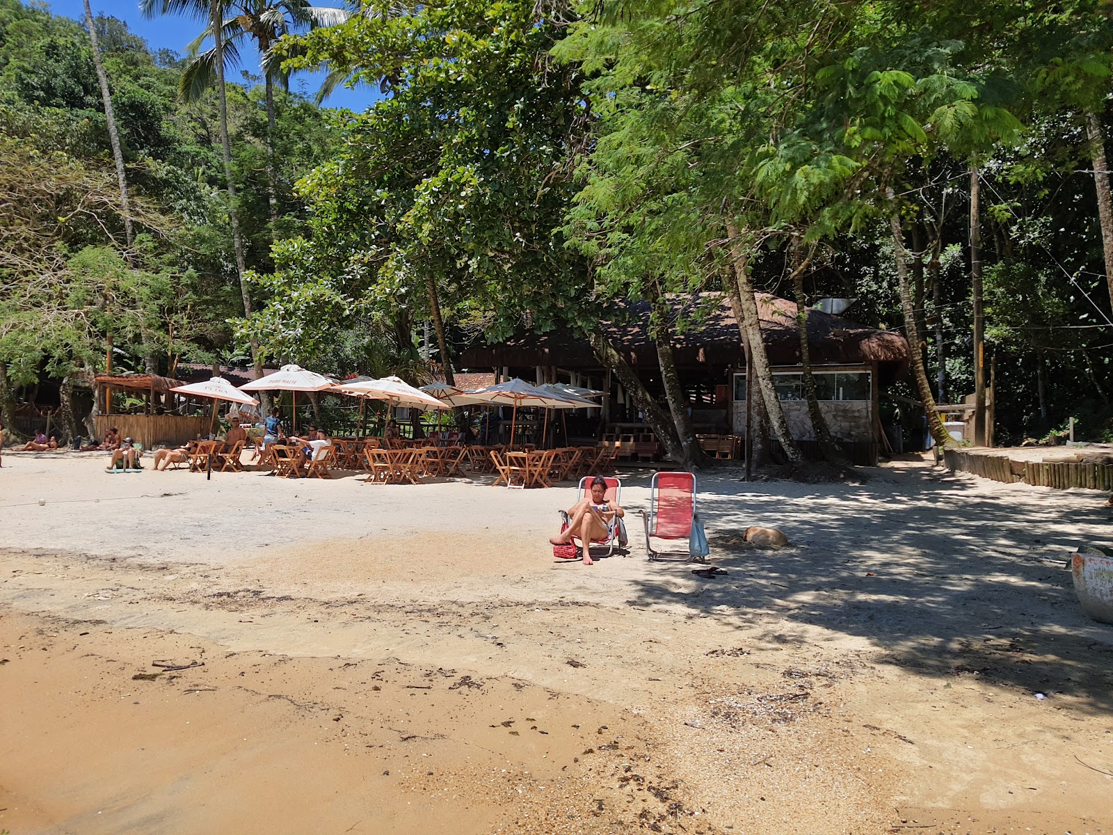 Foto af Praia da Crena bakket op af klipperne