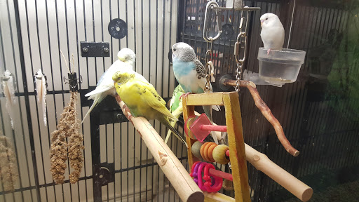 Pet Supply Store «PetSmart», reviews and photos, 1034 N El Camino Real, Encinitas, CA 92024, USA