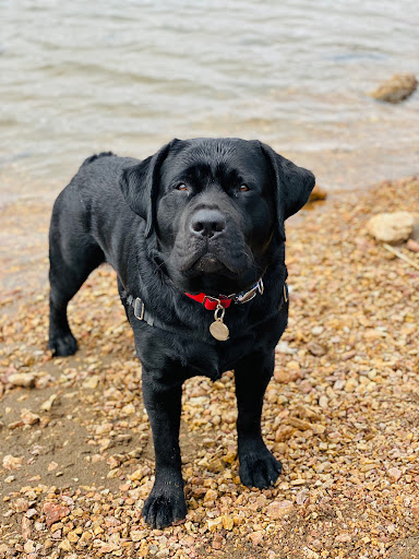 1174 Edgewater St NW, Salem, OR 97304, USA