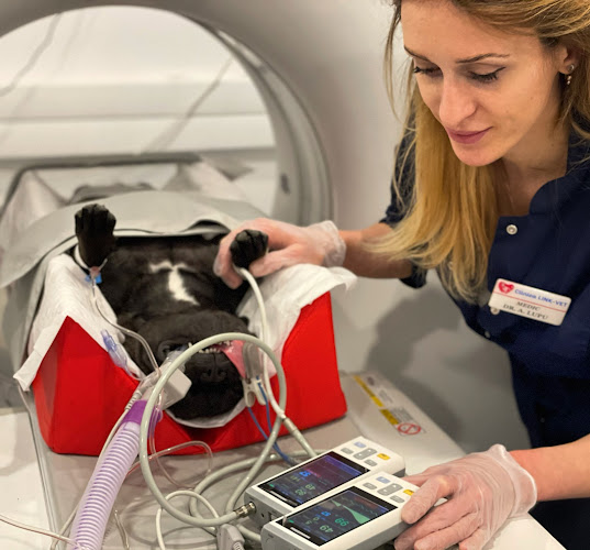 Clinica Veterinara Link-Vet