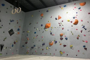 Delta Indoor Climbing Club image