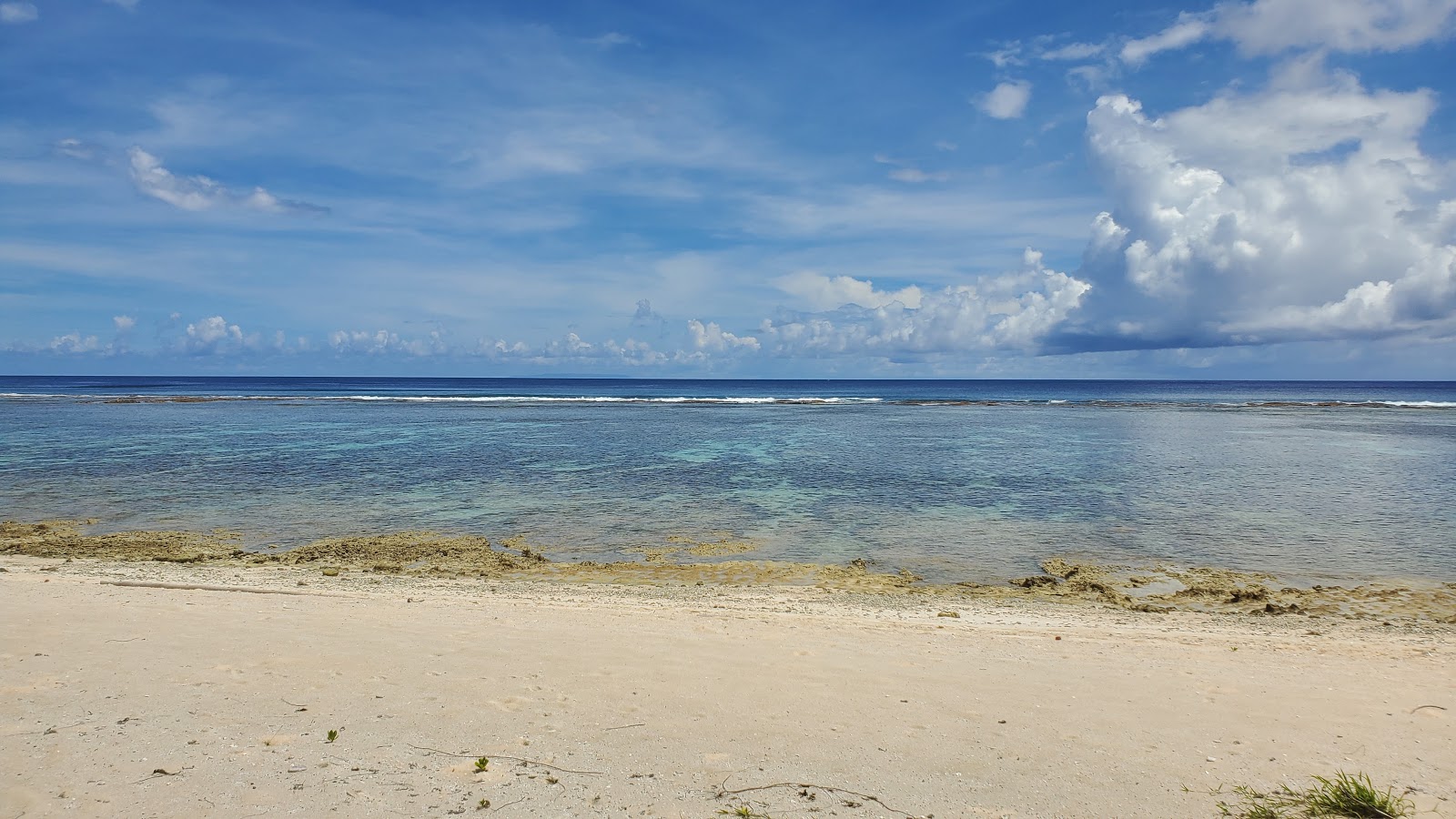 Photo of Tarague Beach located in natural area