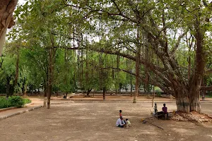 Machani Somappa Municipal Park image