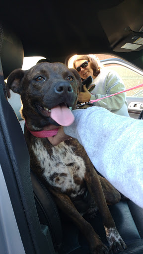 Nash County Animal Hospital image