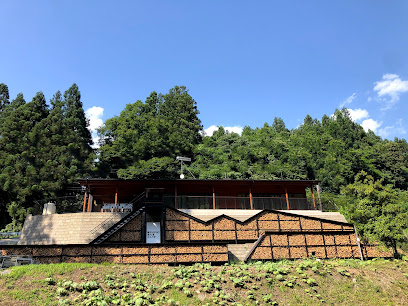 Okukuji Base Camp