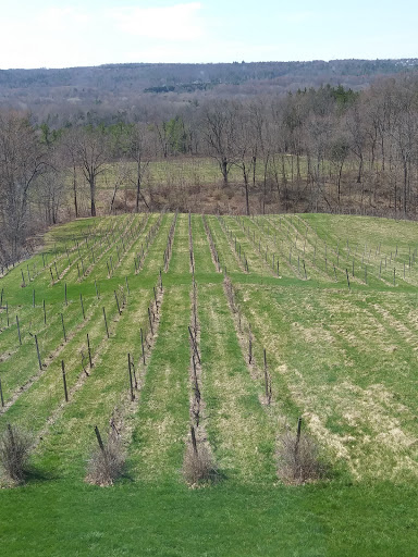 Winery «Six Mile Creek Vineyard», reviews and photos, 1551 Slaterville Rd, Ithaca, NY 14850, USA