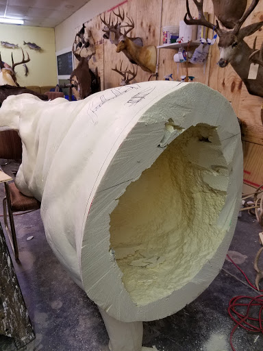 Taxidermist «HighPoint Taxidermy And Outfutters», reviews and photos, 14860 OH-13, Thornville, OH 43076, USA