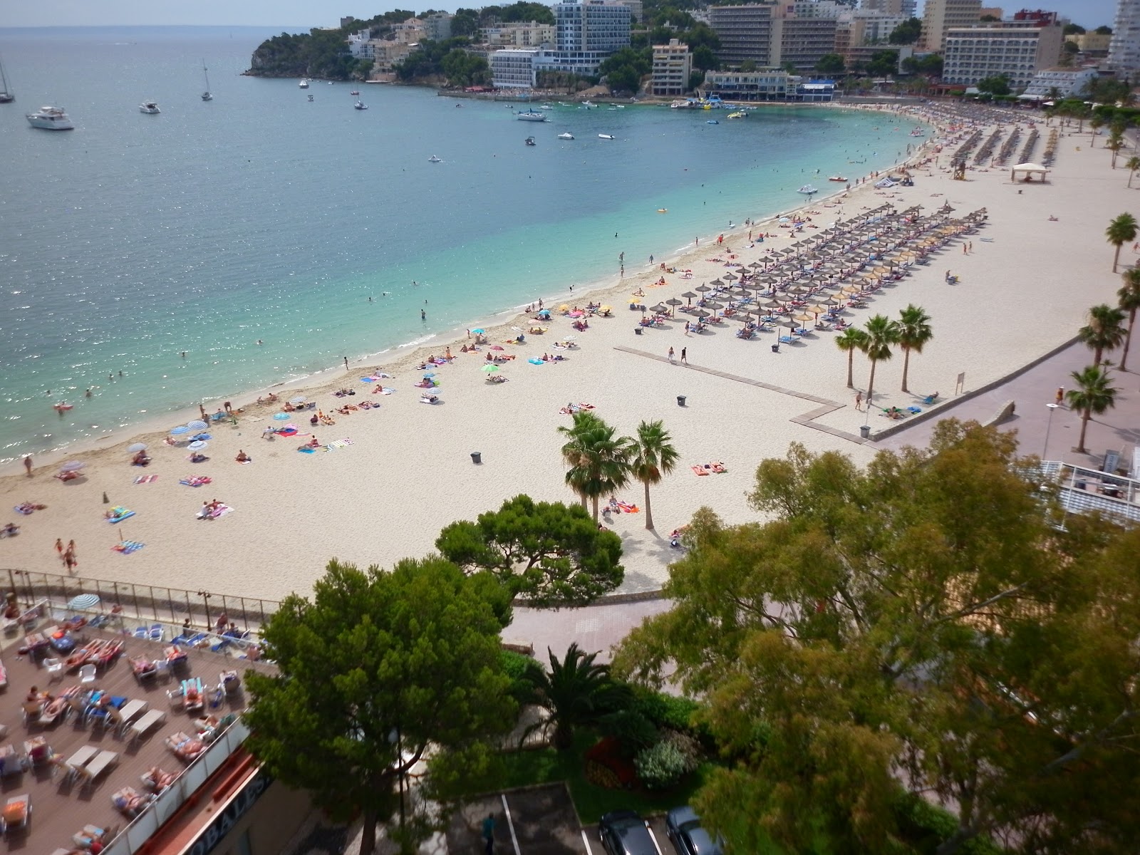 Zdjęcie Plaża Palmanova z mała zatoka