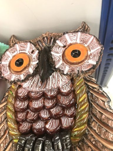 Thrift Store «Goodwill», reviews and photos, 14500 15th Ave NE, Shoreline, WA 98155, USA