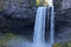 Tamanawas Falls image