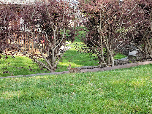 Country Club «Avalon Golf & Country Club», reviews and photos, 1299 Oak Chase Blvd, Lenoir City, TN 37772, USA