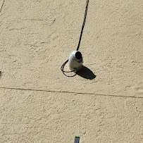 Digiflorida CCTV - Photo 7 - Car repair in , Cape Coral