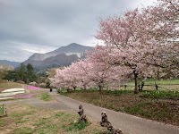 羊山公園