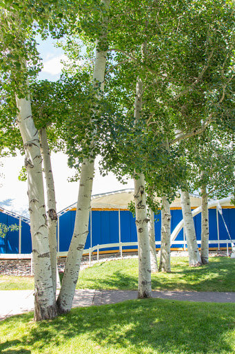 Live Music Venue «Benedict Music Tent and Harris Concert Hall», reviews and photos, 960 N 3rd St, Aspen, CO 81611, USA