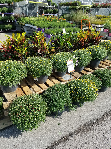 Home Improvement Store «The Home Depot», reviews and photos, 1510 Ring Rd, Elizabethtown, KY 42701, USA